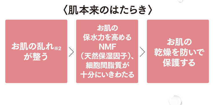 肌本来のはたらき